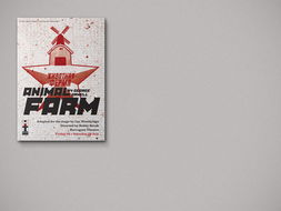 丹尼爾·格雷 平面設(shè)計領(lǐng)域的美國創(chuàng)新力量